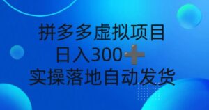 拼多多虚拟项目，新人日入3张，自动发货，实操落地可批量放大-中创网_分享创业项目_助您在家赚钱