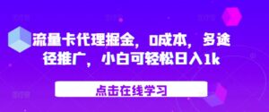 流量卡代理掘金，0成本，多途径推广，小白可轻松日入1k-中创网_分享创业项目_助您在家赚钱