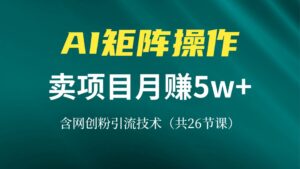 (13335期)网创IP打造课,借助AI卖项目月赚5万+,含引流技术(共26节课)-中创网_分享创业项目_助您在家赚钱