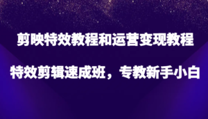 剪映特效教程和运营变现教程,特效剪辑速成班,专教新手小白-中创网_分享创业项目_助您在家赚钱