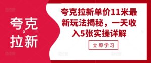 夸克拉新单价11米最新玩法揭秘,一天收入5张实操详解-中创网_分享创业项目_助您在家赚钱