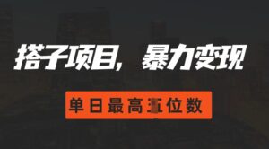 2024搭子玩法,0门槛,暴力变现,单日最高破四位数【揭秘】-中创网_分享创业项目_助您在家赚钱