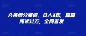 头条细分赛道,日入3张,篇篇阅读过万,全网首发-中创网_分享创业项目_助您在家赚钱