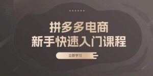 拼多多电商新手快速入门课程:涵盖基础、实战与选款,助力小白轻松上手-中创网_分享创业项目_助您在家赚钱