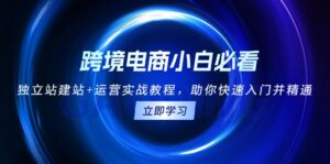 （13503期）跨境电商小白必看！独立站建站+运营实战教程，助你快速入门并精通-中创网_分享创业项目_助您在家赚钱