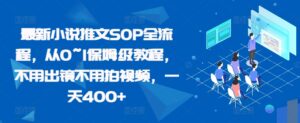 最新小说推文SOP全流程，从0~1保姆级教程，不用出镜不用拍视频，一天400+-中创网_分享创业项目_助您在家赚钱