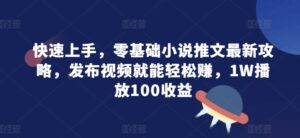 快速上手，零基础小说推文最新攻略，发布视频就能轻松赚，1W播放100收益-中创网_分享创业项目_助您在家赚钱