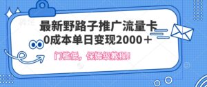 最新野路子推广流量卡，一张200-300，门槛低，0成本单日变现多张-中创网_分享创业项目_助您在家赚钱