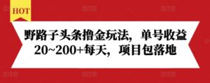 野路子头条撸金玩法,单号收益20~200+每天,项目包落地-中创网_分享创业项目_助您在家赚钱