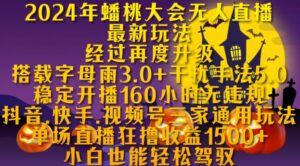 2024年蟠桃大会无人直播最新玩法,稳定开播160小时无违规,抖音、快手、视频号三家通用玩法【揭秘】-中创网_分享创业项目_助您在家赚钱