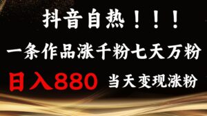 抖音小红书自热，一条作品1000粉，7天万粉，单日变现880收益-中创网_分享创业项目_助您在家赚钱