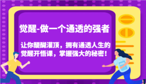 认知觉醒,让你醍醐灌顶拥有通透人生,掌握强大的秘密!觉醒开悟课(更新)-中创网_分享创业项目_助您在家赚钱