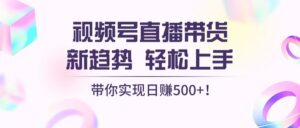 （13370期）视频号直播带货新趋势，轻松上手，带你实现日赚500+-中创网_分享创业项目_助您在家赚钱