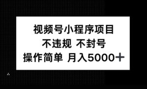 视频号小程序项目,不违规不封号,操作简单 月入5000+-中创网_分享创业项目_助您在家赚钱