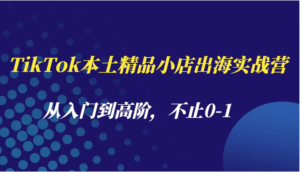 TikTok本土精品小店出海实战营,从入门到高阶,不止0-1-中创网_分享创业项目_助您在家赚钱