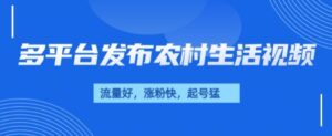 治愈系农村生活视频，多平台发布，流量好，起号快-中创网_分享创业项目_助您在家赚钱