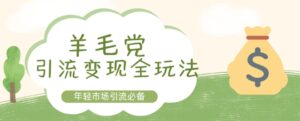 羊毛党引流变现全玩法,年轻市场引流必备-中创网_分享创业项目_助您在家赚钱