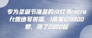 专为圣诞节准备的小红书recraft雪地写祝福,1条笔记8800赞,涨了2000粉-中创网_分享创业项目_助您在家赚钱