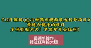 12月最新QQ小世界短视频暴力起号项目，最适合新手的项目，多种变现方式-中创网_分享创业项目_助您在家赚钱