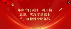 年底冷门项目，利用信息差，实现零基础上手，轻松赚个肥年钱【揭秘】-中创网_分享创业项目_助您在家赚钱
