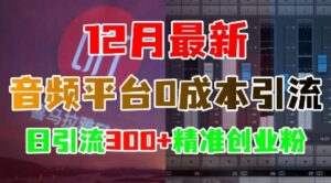 12月最新:音频平台0成本引流,日引流300+精准创业粉-中创网_分享创业项目_助您在家赚钱