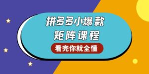 (13699期)拼多多爆款矩阵课程:教你测出店铺爆款,优化销量,提升GMV,打造爆款群-中创网_分享创业项目_助您在家赚钱