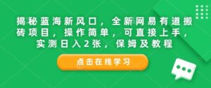 揭秘蓝海新风口,全新网易有道搬砖项目,操作简单,可直接上手,实测日入2张,保姆及教程-中创网_分享创业项目_助您在家赚钱