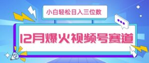 12月视频号爆火赛道，小白无脑操作，也可以轻松日入三位数-中创网_分享创业项目_助您在家赚钱