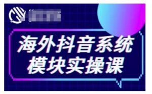 海外抖音Tiktok系统模块实操课，TK短视频带货，TK直播带货，TK小店端实操等-中创网_分享创业项目_助您在家赚钱