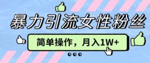 操作“零难度”小众项目，疯狂引流女性粉丝，月入轻松破 1W+-中创网_分享创业项目_助您在家赚钱