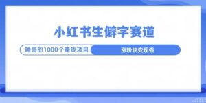 小红书生僻字玩法，快速涨分变现详解-中创网_分享创业项目_助您在家赚钱