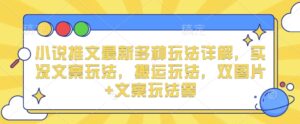 小说推文最新多种玩法详解，实况文案玩法，搬运玩法，双图片+文案玩法等-中创网_分享创业项目_助您在家赚钱