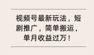 视频号最新玩法,短剧推广,简单搬运,单月收益过W-中创网_分享创业项目_助您在家赚钱