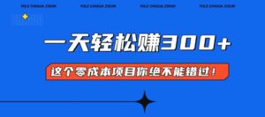 （13702期）零成本入门！简单几步开启一天300+的赚钱之路！-中创网_分享创业项目_助您在家赚钱