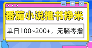 番茄小说推书赚米,单日100~200+,无脑零撸-中创网_分享创业项目_助您在家赚钱