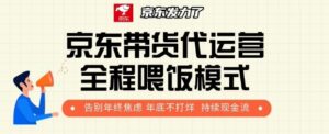 京东带货代运营全程喂饭模式,告别年终焦虑 年底不打烊 持续现金流+-中创网_分享创业项目_助您在家赚钱