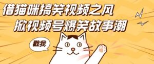 借猫咪搞笑视频之风,掀视频号爆笑故事潮,轻松日入四位数,无门槛快速入门!-中创网_分享创业项目_助您在家赚钱