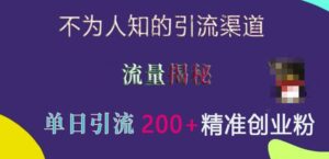 不为人知的引流渠道,流量揭秘,实测单日引流200+精准创业粉【揭秘】-中创网_分享创业项目_助您在家赚钱