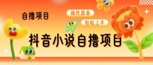 抖音小说自撸项目,操作简单轻松上手-中创网_分享创业项目_助您在家赚钱