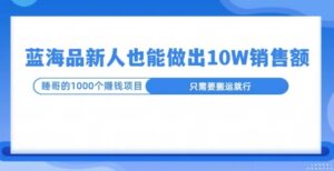 这个蓝海品,新号也能卖出10W的销售额,年底疯狂怼量就能出结果-中创网_分享创业项目_助您在家赚钱