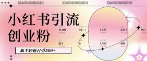 小红书私域引流无脑操作法:AI生成内容,粉丝自动转化,新手轻松日引500+创业粉-中创网_分享创业项目_助您在家赚钱