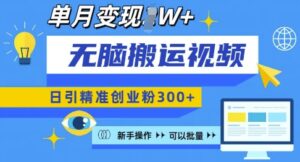无脑搬运视频号可批量复制,新手即可操作,日引精准创业粉300+,月变现过W 【揭秘】-中创网_分享创业项目_助您在家赚钱