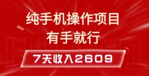 纯手机操作的小项目，有手就能做，7天收入2609+实操教程【揭秘】-中创网_分享创业项目_助您在家赚钱