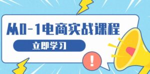 (13594期)从零做电商实战课程,教你如何获取访客、选品布局,搭建基础运营团队-中创网_分享创业项目_助您在家赚钱
