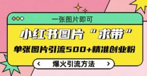 小红书图片‘求带’爆火引流法,单张图片引流500+精准创业粉【揭秘】-中创网_分享创业项目_助您在家赚钱