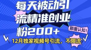 12月独家视频号引流每天被动引流精准创业粉200+不限流-中创网_分享创业项目_助您在家赚钱