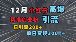 小红书一张图片“引爆”创业粉,单日+200+精准创业粉 可筛选付费意识创业粉【揭秘】-中创网_分享创业项目_助您在家赚钱