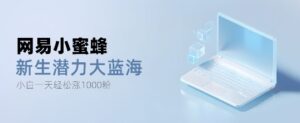 网易小蜜蜂,最新大蓝海项目,单日轻松日涨千粉-中创网_分享创业项目_助您在家赚钱