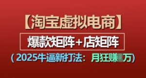 淘宝虚拟电商,2025牛逼新打法:爆款矩阵+店矩阵,月入过万-中创网_分享创业项目_助您在家赚钱