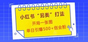 小红书“另类”打法,开局一张图,单日引爆500+精准创业粉【揭秘】-中创网_分享创业项目_助您在家赚钱